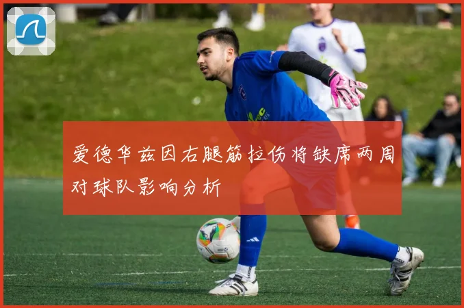 爱德华兹因右腿筋拉伤将缺席两周对球队影响分析